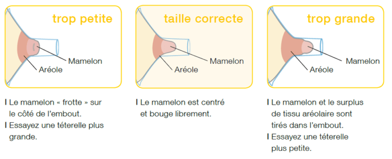 Taille de téterelle