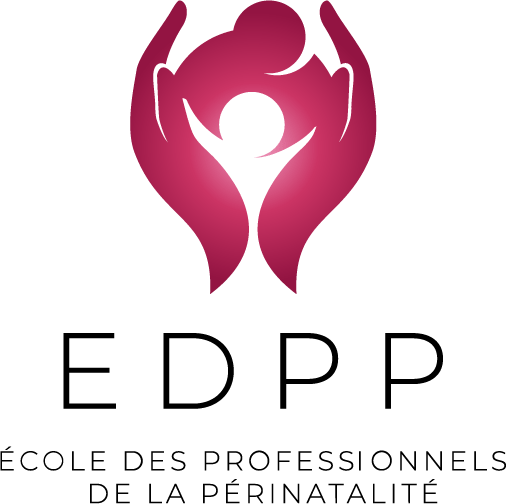 logo 01 colors